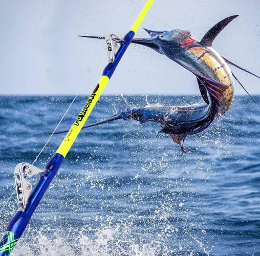 How to Catch a Marlin Fish