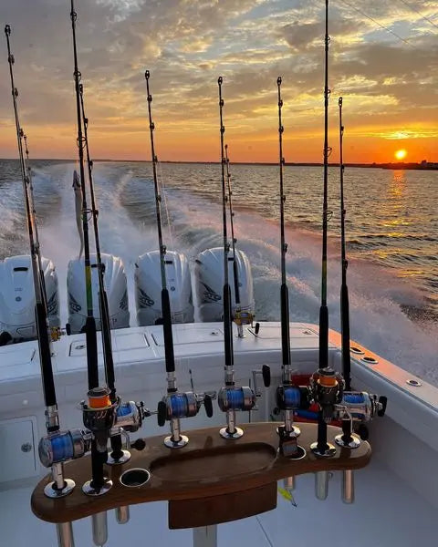 Top 10 Best Fishing Rods for Freshwater and Saltwater Adventures Topline Fishing Tackle Top 10 Best Fishing Rods for Freshwater and Saltwater Adventures Topline Fishing Tackle
