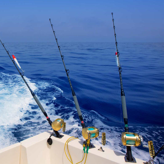 Best Saltwater Fishing Rods for Corrosion Resistance and Strength