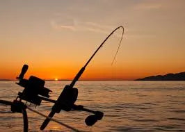 Top 5 Saltwater Fishing Combos for Boat, Pier, and Shore Use