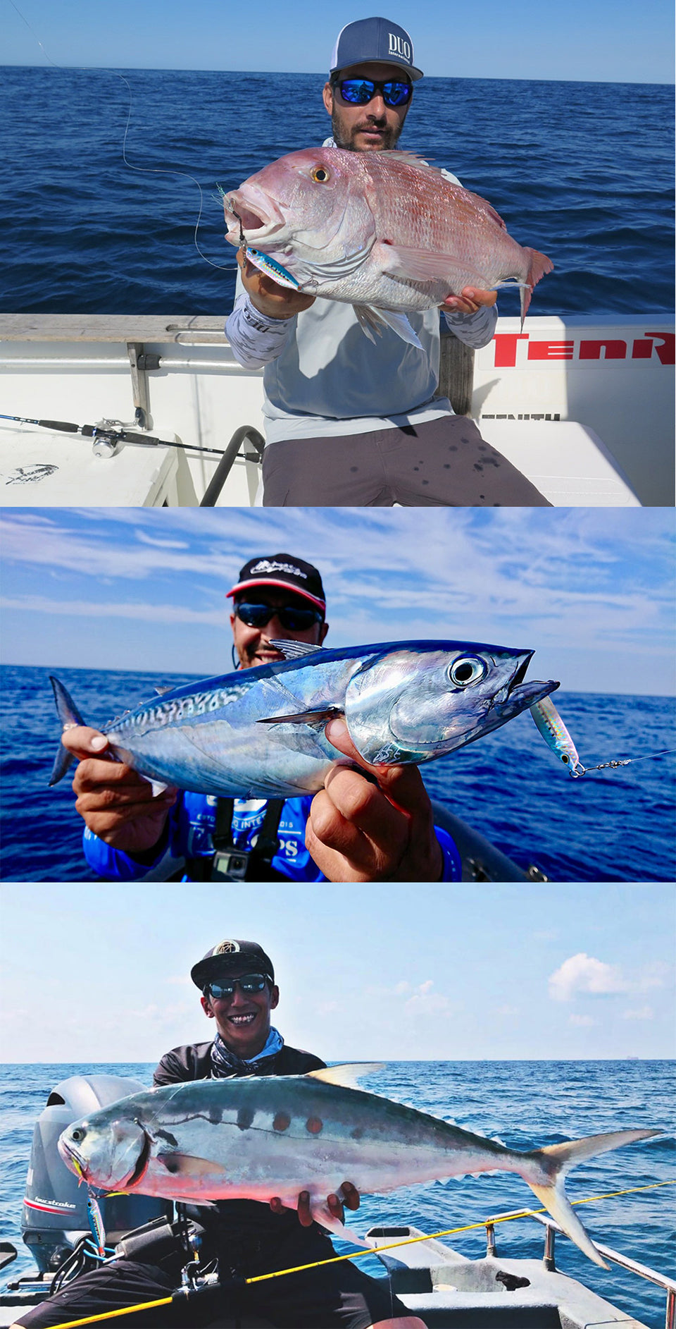 Assorted fishing bait – Live bait and soft plastics available