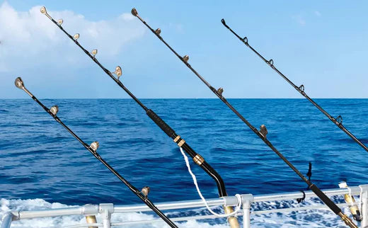 Saltwater Fishing Rod vs Freshwater Fishing Rod
