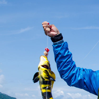 500M Nylon Fishing Line (orange red white yellow)
