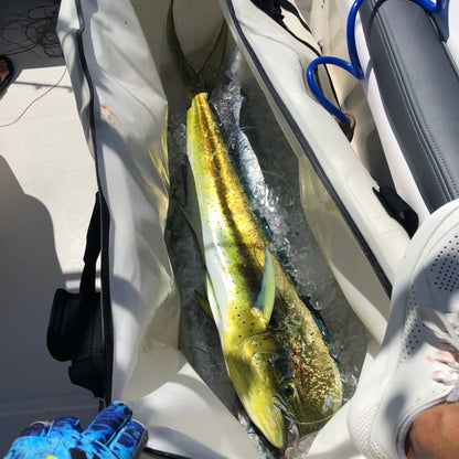 Waterproof fishing bag used onboard during a saltwater fishing trip to keep fish cool and fresh.